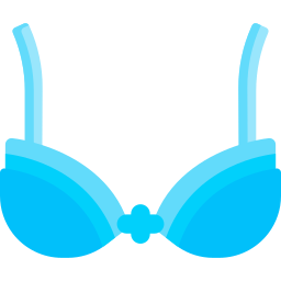 Bra icon