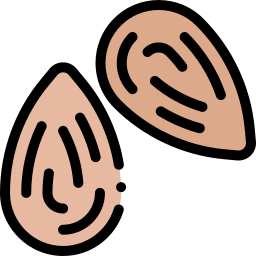 Almond icon