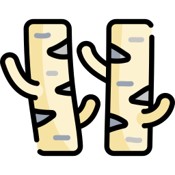 Birch tree icon