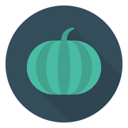 wassermelone icon