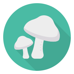 Mushrooms icon