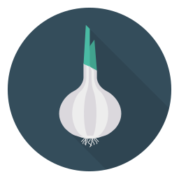 Onion icon