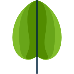 Leaf icon