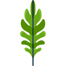 Leaf icon