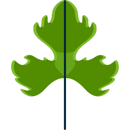 Leaf icon