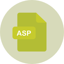 Asp icon