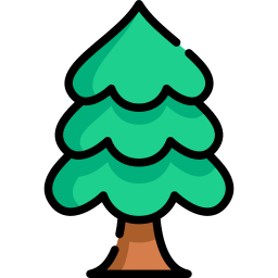 Pine icon