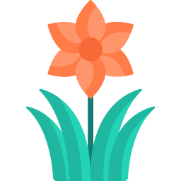 blume icon