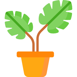 Monstera icon