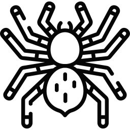 Tarantula icon