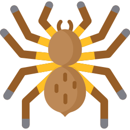 Tarantula icon