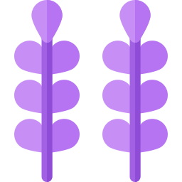 Lavender icon