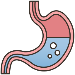 Stomach icon