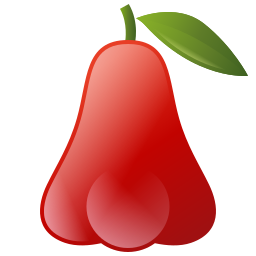 Rose apple icon