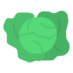 Cabbage icon