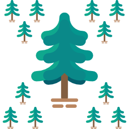 Pine icon