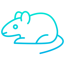 rat Icône