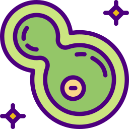 Bacteria icon