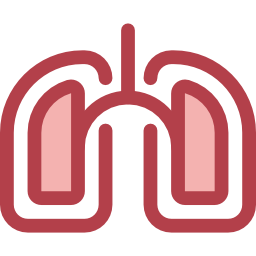 Lungs icon