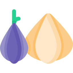 Onions icon