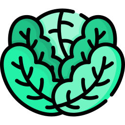 Cabbage icon