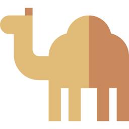 Dromedary icon