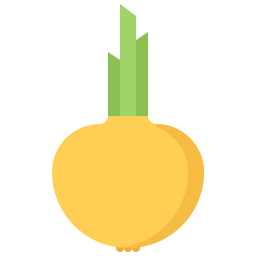 Onion icon