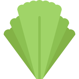 Salad icon