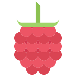 Raspberries icon