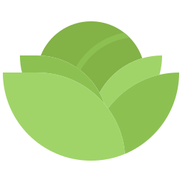 Cabbage icon