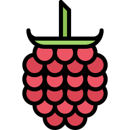 Raspberries icon