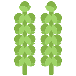 Brussels sprouts icon