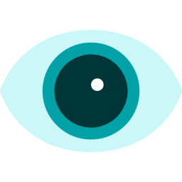 Eye icon