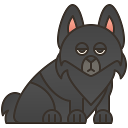 schipperke icon