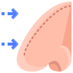 rhinoplastie Icône