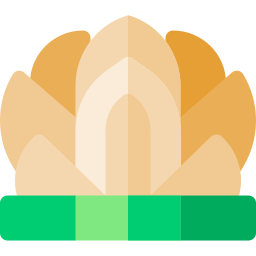 Lotus temple icon