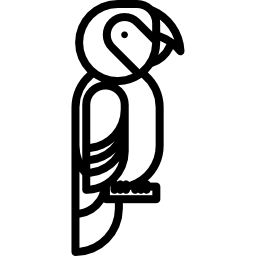 コンゴウインコ icon