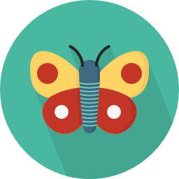 schmetterling icon