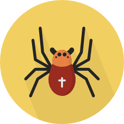 spinne icon