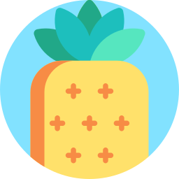 ananas icon