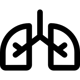 Lungs icon