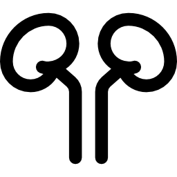 Kidney icon