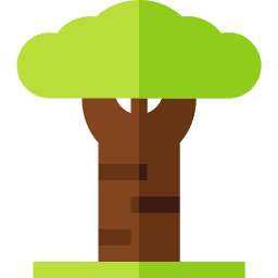 baobab icon