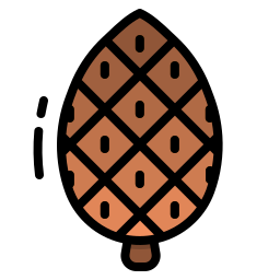 Pine cones icon