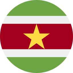 suriname Icône