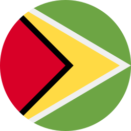 guyana icon