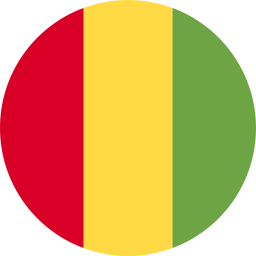 guinea icon