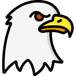 Eagle icon