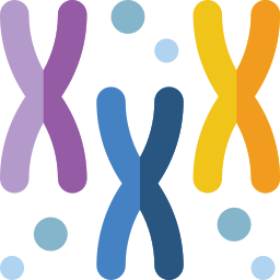 chromosomen icon