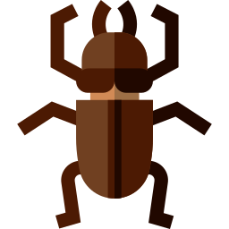 Beetle icon